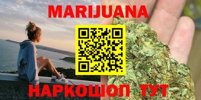 сатива Краснодар