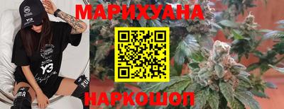 сатива Краснодар