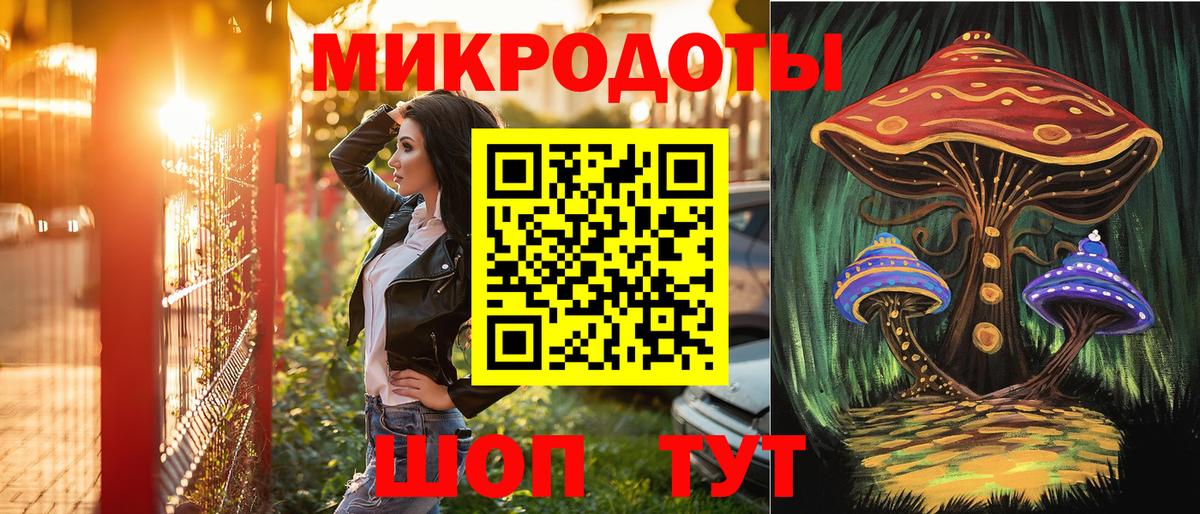 Псилоцибиновые грибы Psilocybe Коряжма