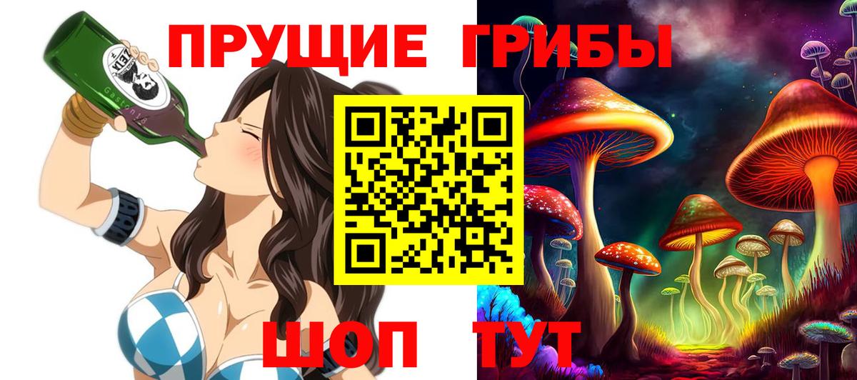 Коряжма  Галлюциногенные грибы Psilocybe  Вход с VPN 